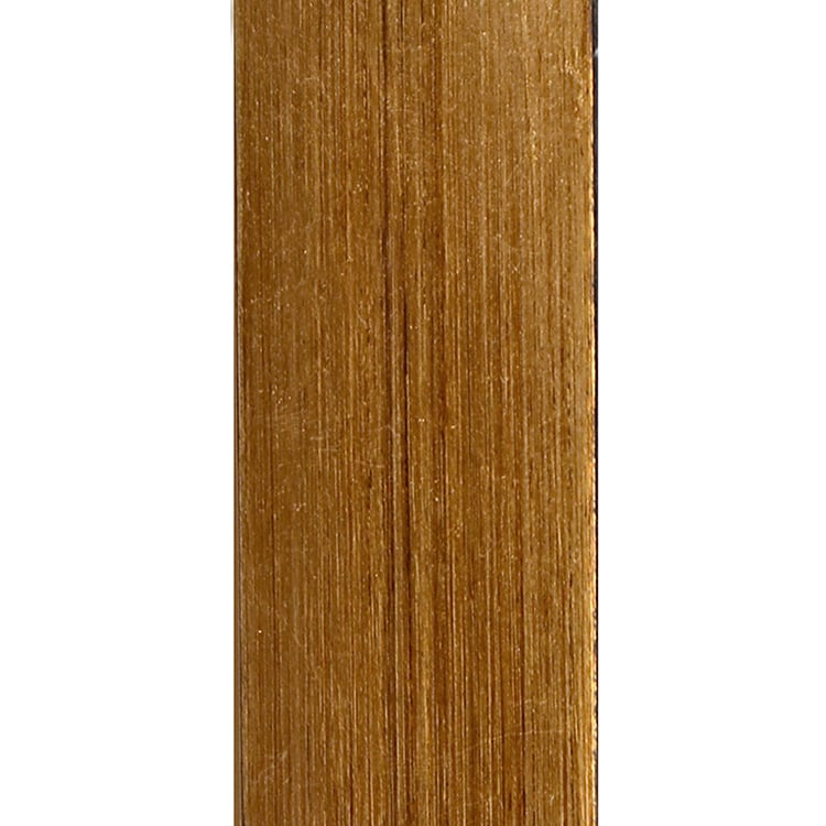 FC-30G - Gold Product Image 2